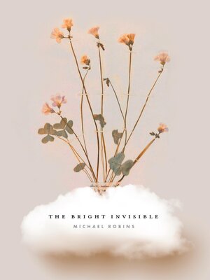 cover image of The Bright Invisible